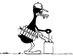 duck